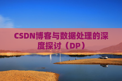 CSDN博客与数据处理的深度探讨（DP）
